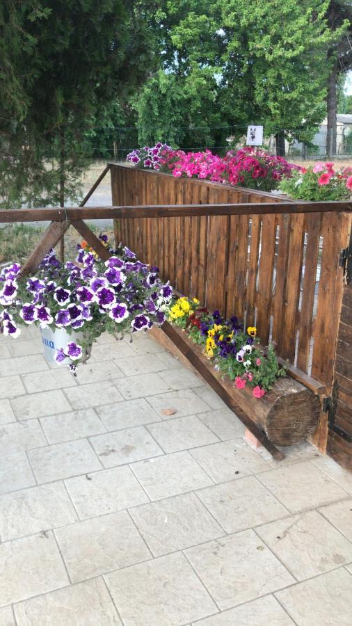 San Rocco Bed & Breakfast Mesola Exterior photo